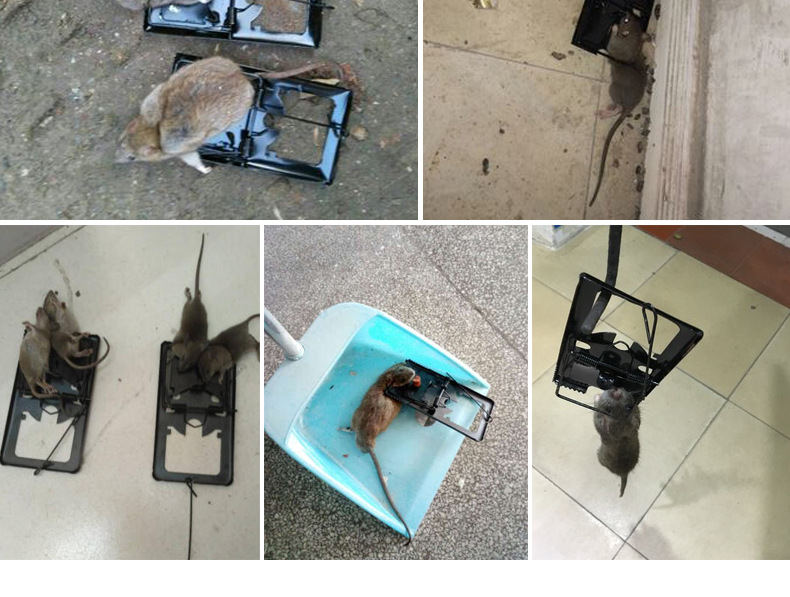 老鼠夹子 地夹捕鼠夹 家用铁质超强力捕鼠器 铁夹连续耗子捕鼠器