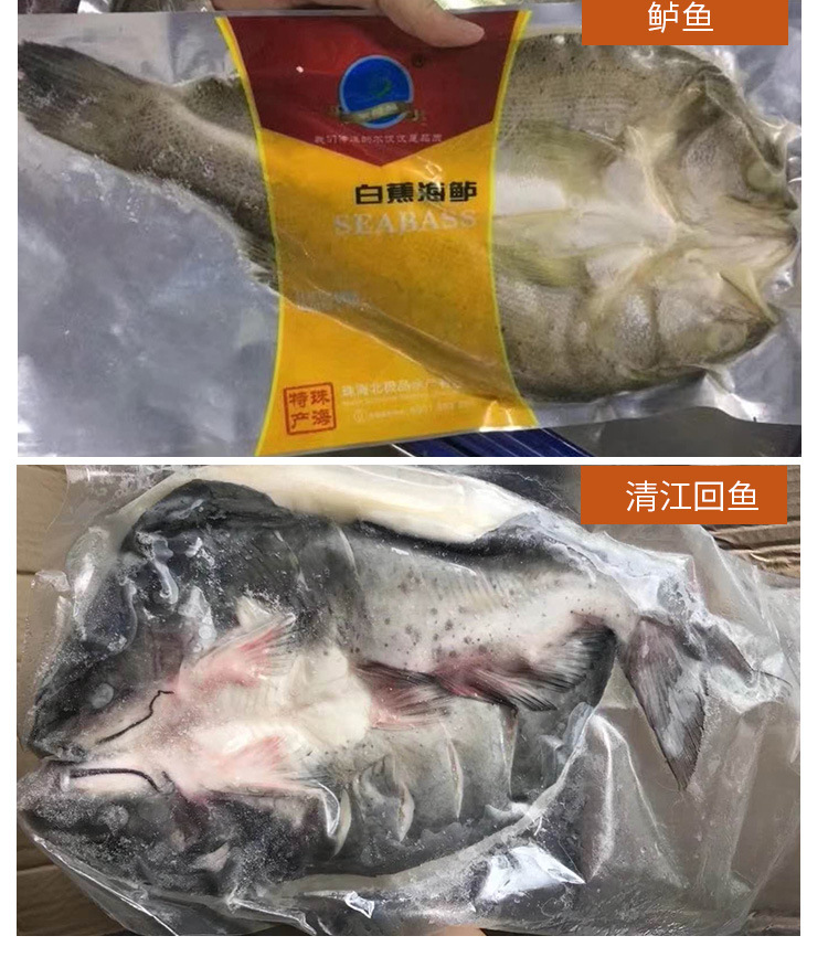 冻鱼_冻湄公鱼 开背巴沙鱼 开背清江回鱼 开背鲈