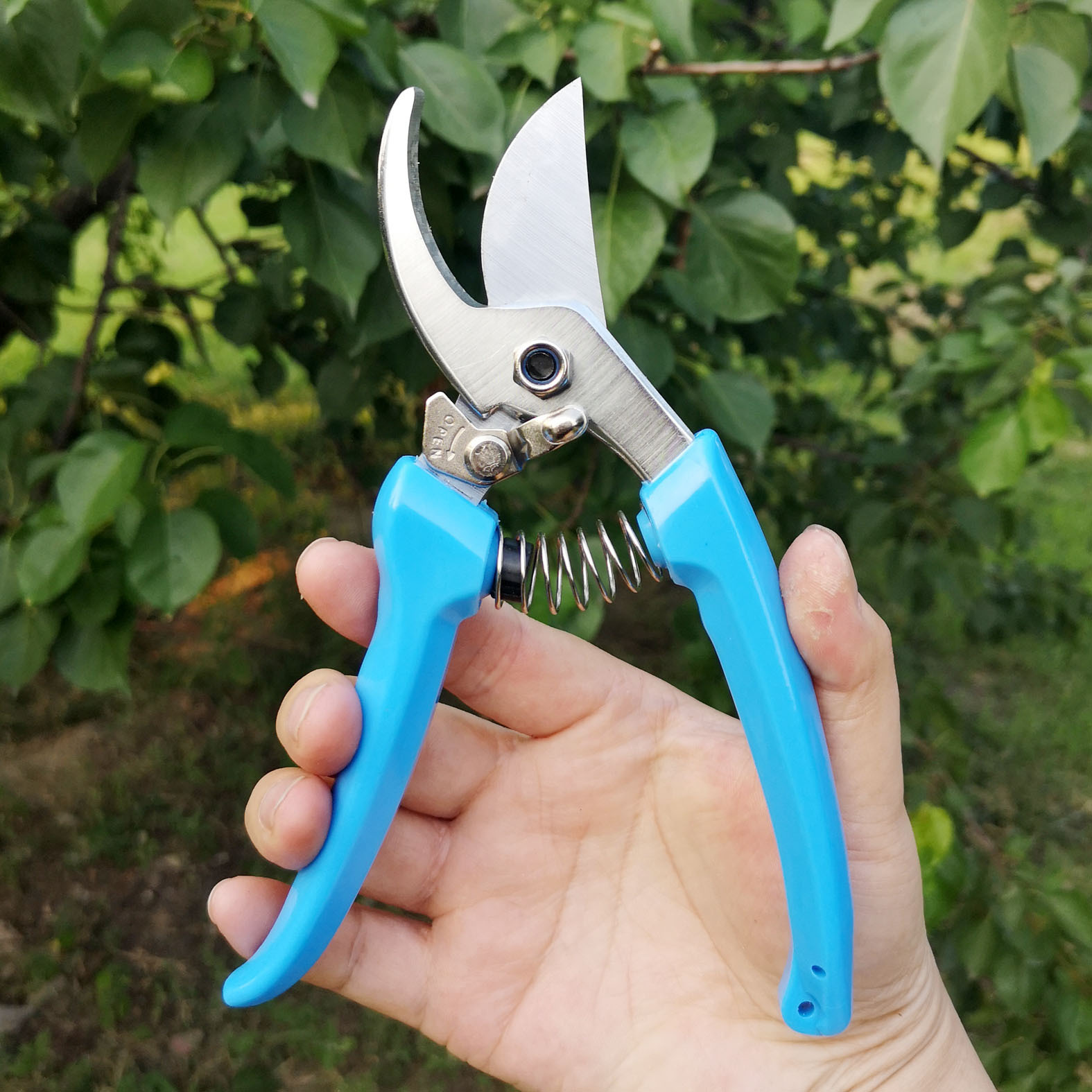 修枝剪果枝剪果树剪刀园艺剪刀花木苗木剪枝剪绿化修剪刀园林工具