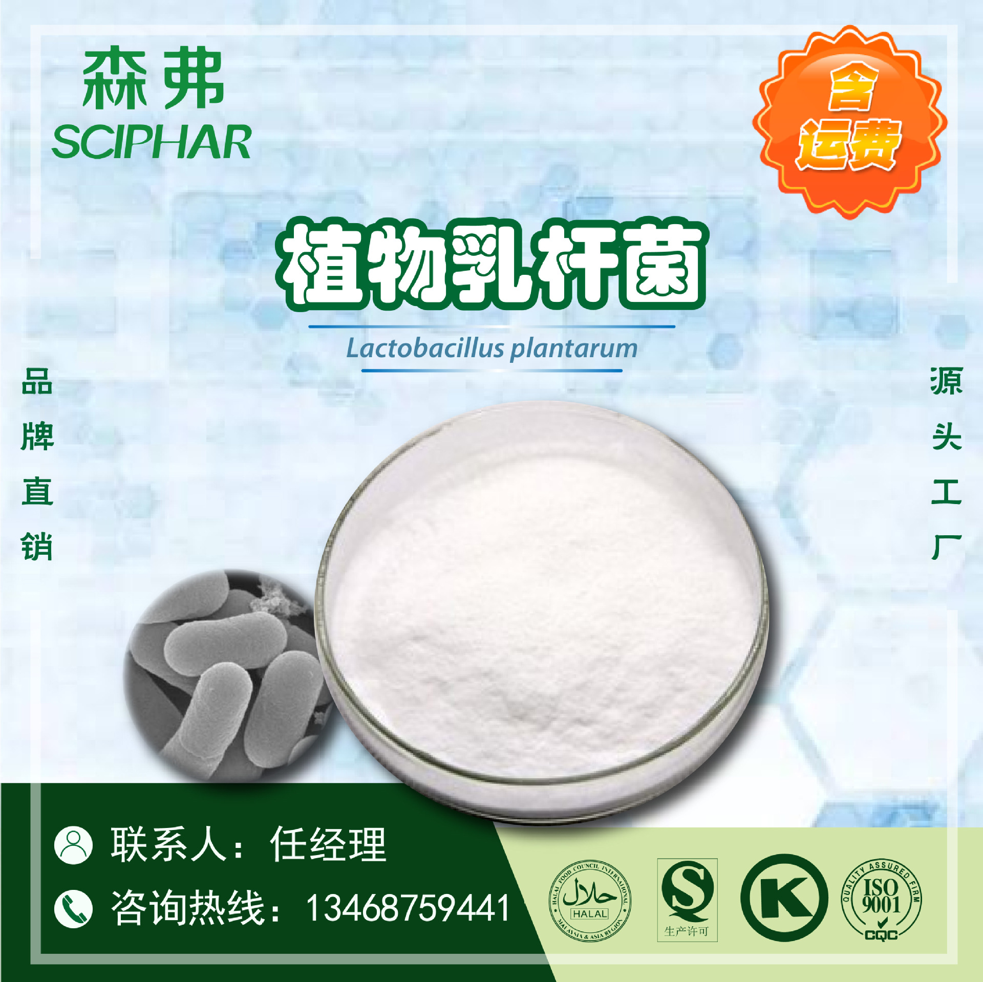 植物乳杆菌厂家直销植物乳杆菌现货产地货源植物乳杆菌森弗含运费