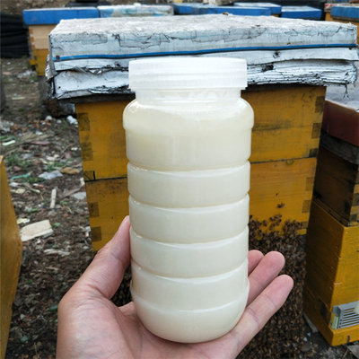 40波美度以上蜂蜜 结晶白蜂蜜 油菜花蜂蜜结晶蜜批发