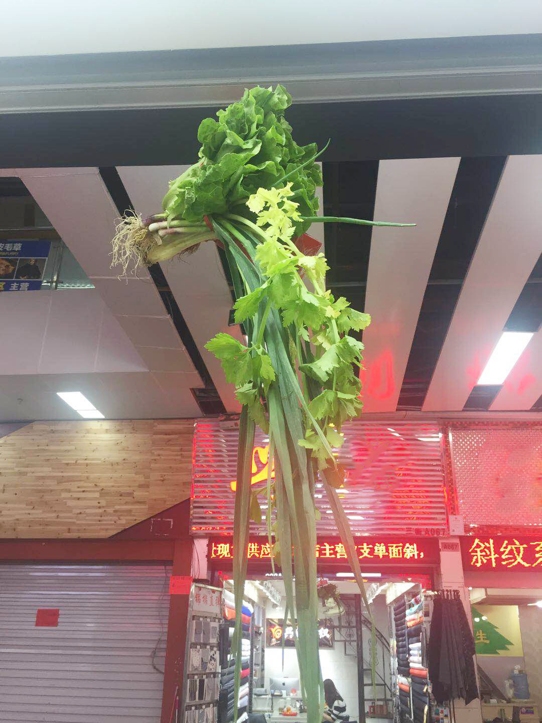 一大早各个档口的都准备了采青的物品:香烟,红包,生菜,芹菜,桔子,都吊