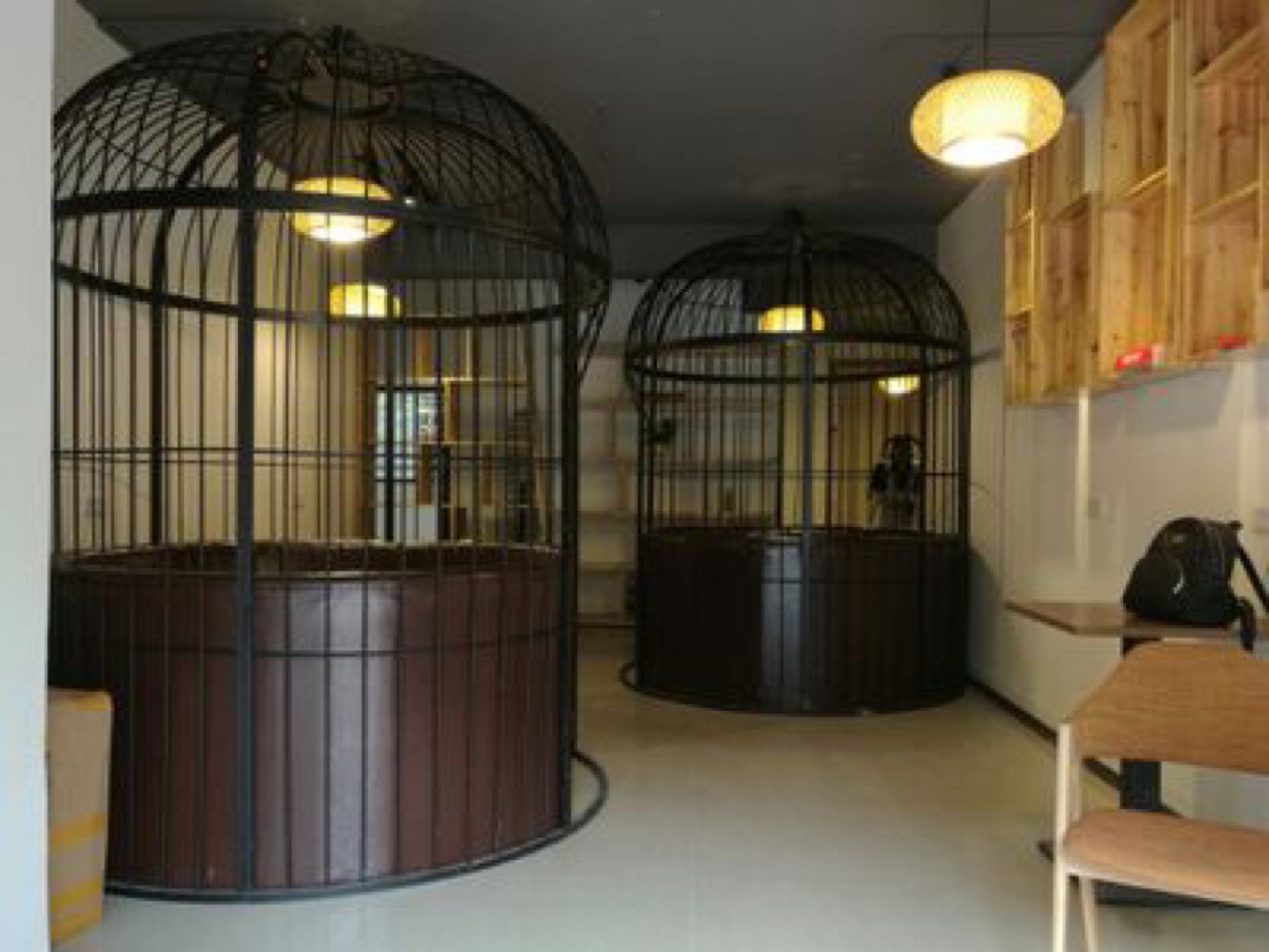 欧式铁艺超大型鸟笼 别墅户外落地特大号鸟笼餐厅室内外大笼子