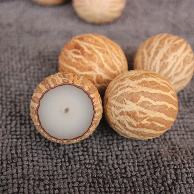 菩提根 白玉菩提 白菩提根 大花根 菩提果2.6-2.8cm椭圆