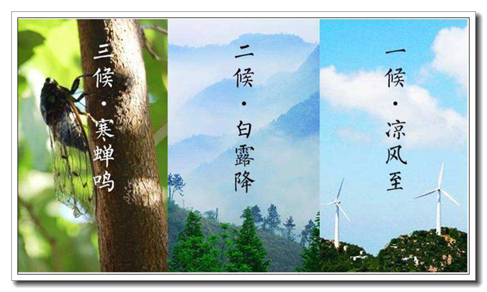 据《月令七十二候集解》:秋,揪也,物于此而揪敛也.