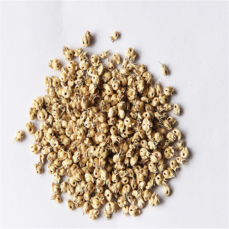 当年新采优质种子 野牛草种子多年生野牛草耐践踏 量大从优