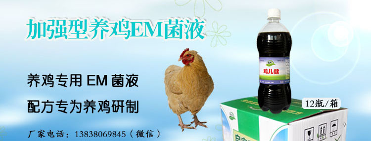 养鸡em菌液