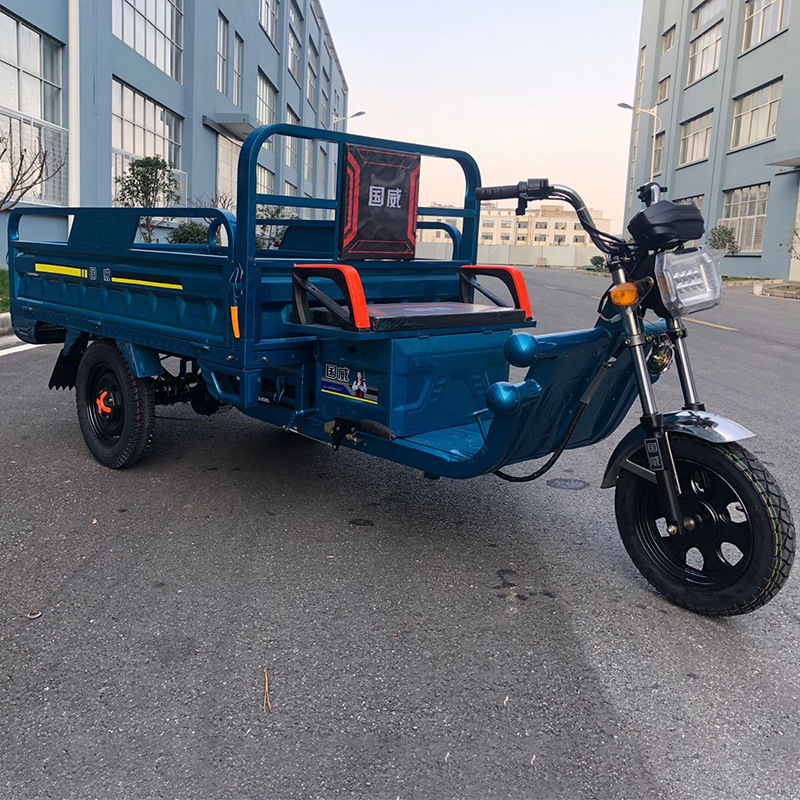 电动三轮车 国威1.8米三开门成人运输电瓶三轮车 农用电动三轮车