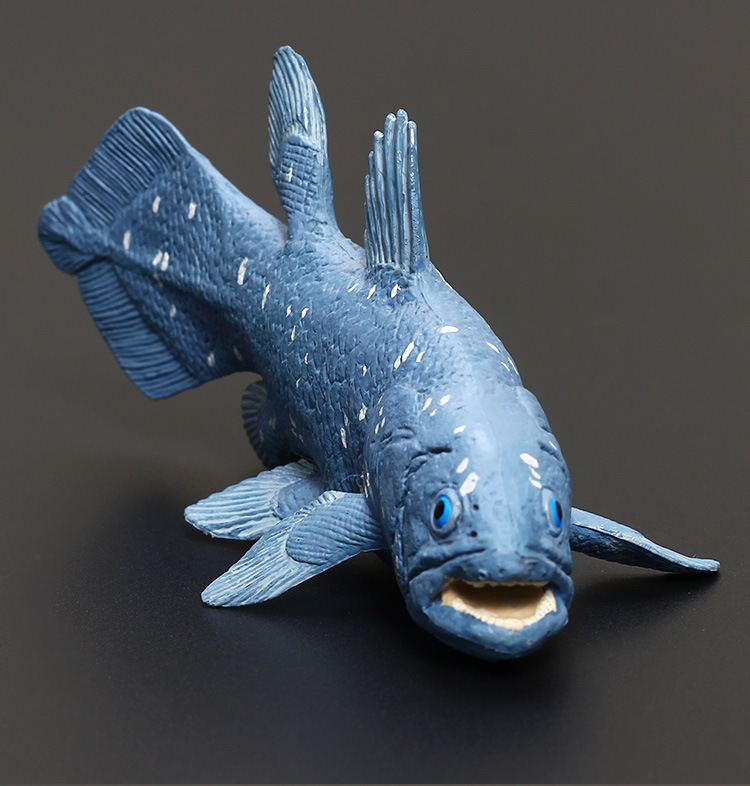 跨境精品腔棘鱼 矛尾鱼 仿真海洋远古生物模型水族观赏鱼动物玩具