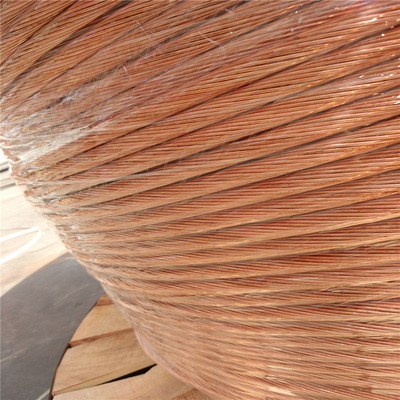 120mm2包塑铜绞线 150mm2镀铜钢绞线 6x60接地铜排