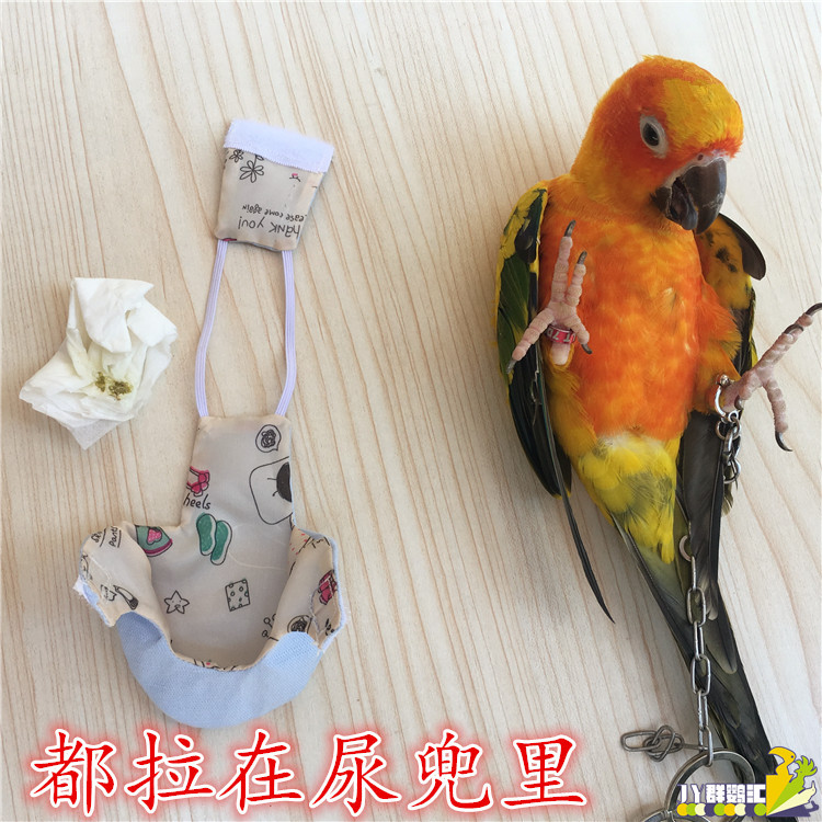 定制鹦鹉尿兜/鹦鹉尿裤/尿布兜