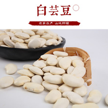 云南高原特色白芸豆大白豆散装豆类杂粮大豆子豆浆原料干货供应