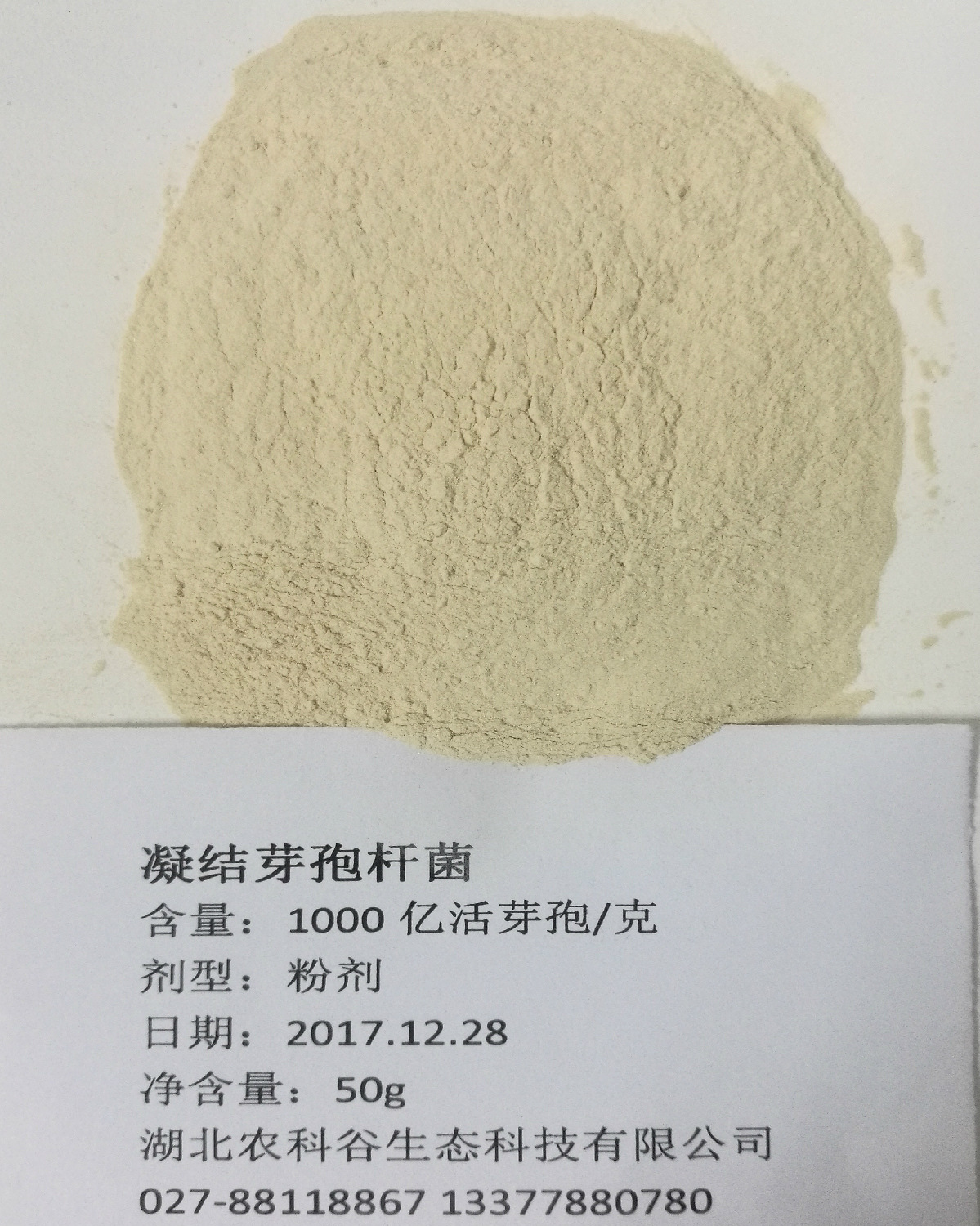 农科谷生产销售产品微生态菌畜禽水产饲料添加剂凝结芽孢杆菌