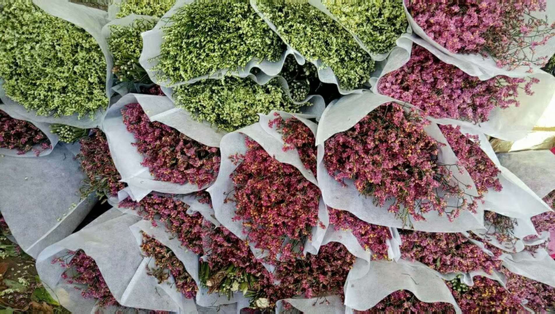 云南十八怪花 干花 跑江湖地摊热卖 ix称斤卖鲜花 满天星 勿忘我