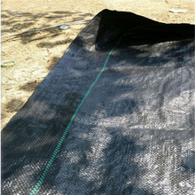 2*100米PE编织布  山林护坡固土防沙布  果树种植除草布上海现货
