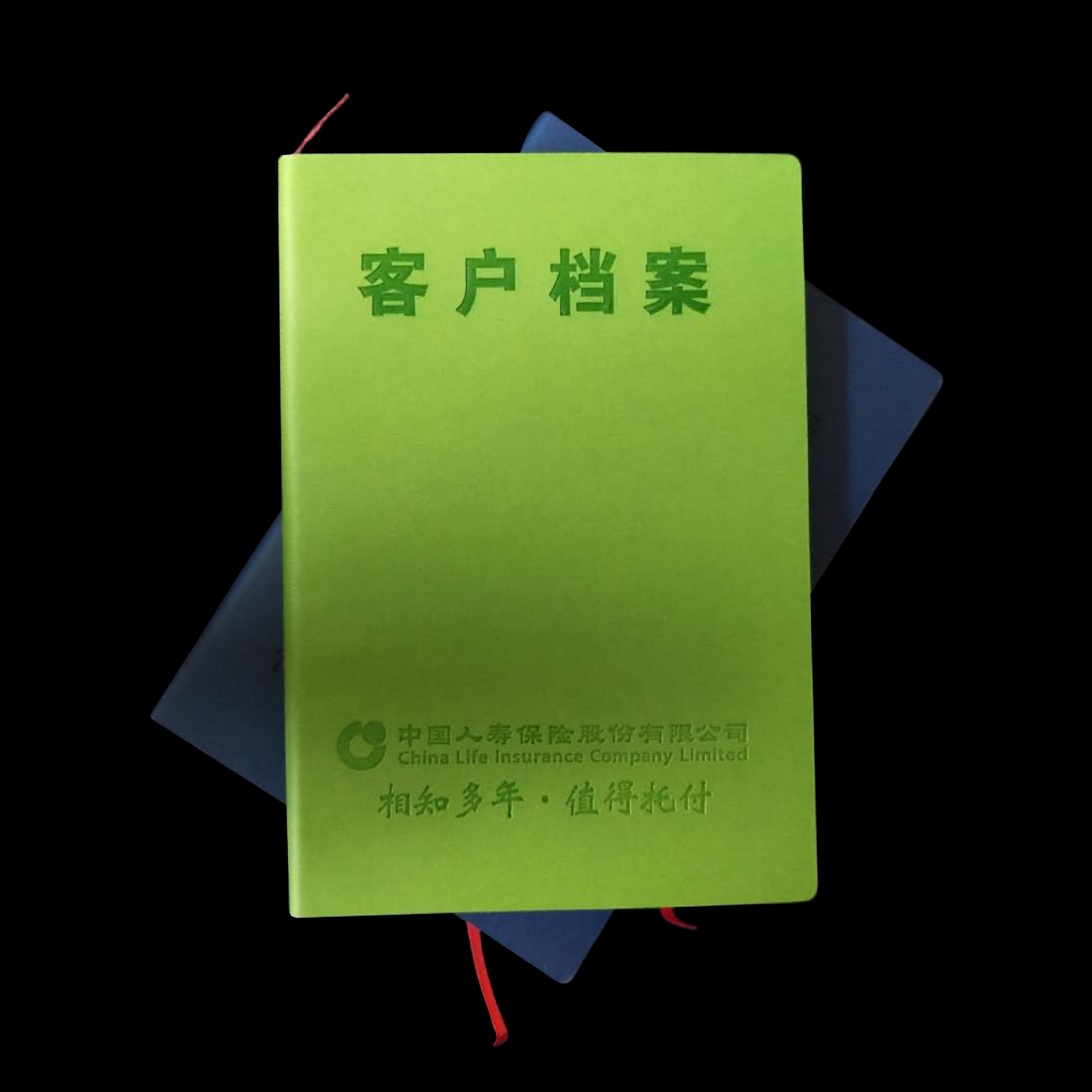 中国人寿保险变色皮革客户档案国寿保险高档客户档案客户资料本