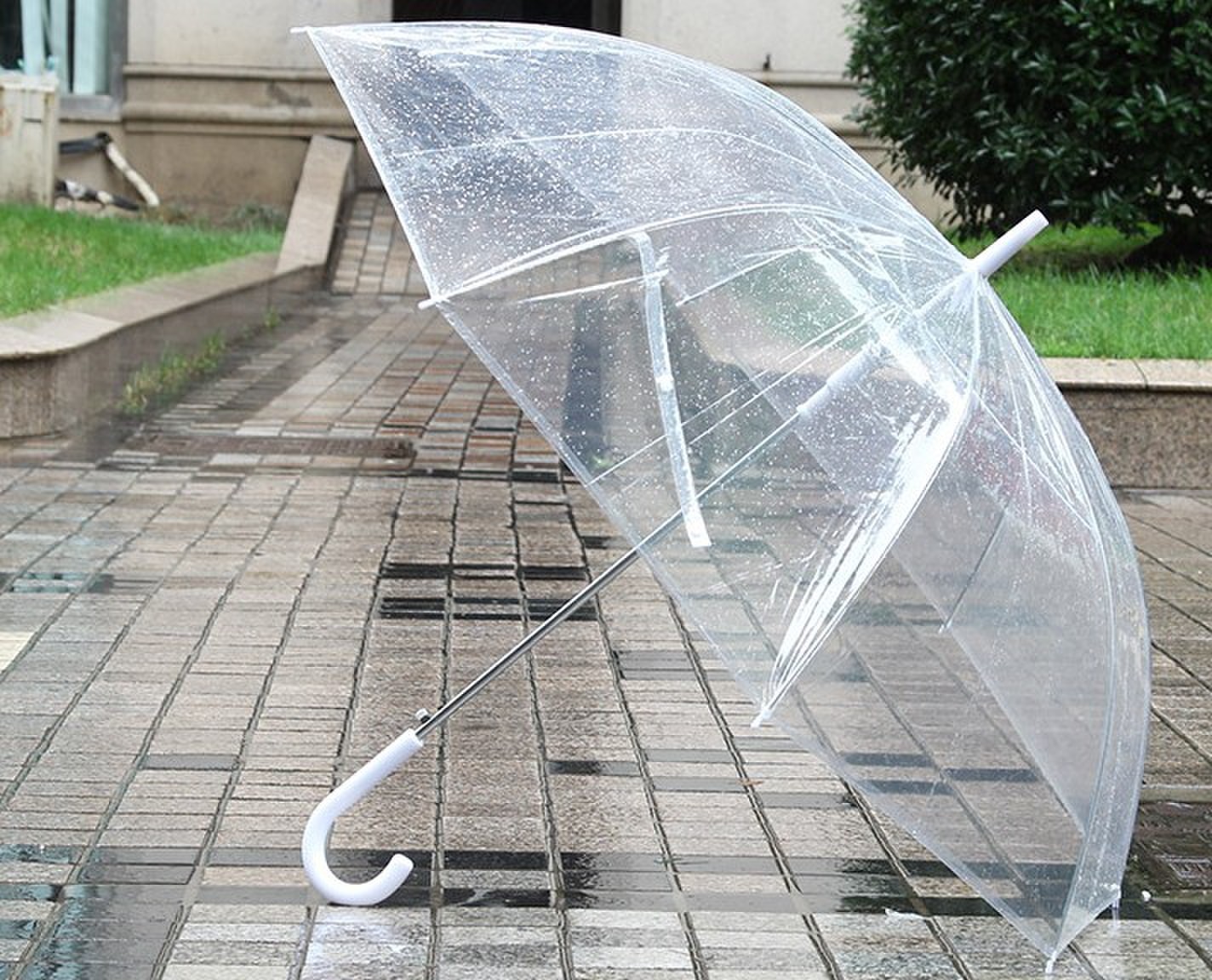 半透明伞面广告遮阳伞 可印广 印logo