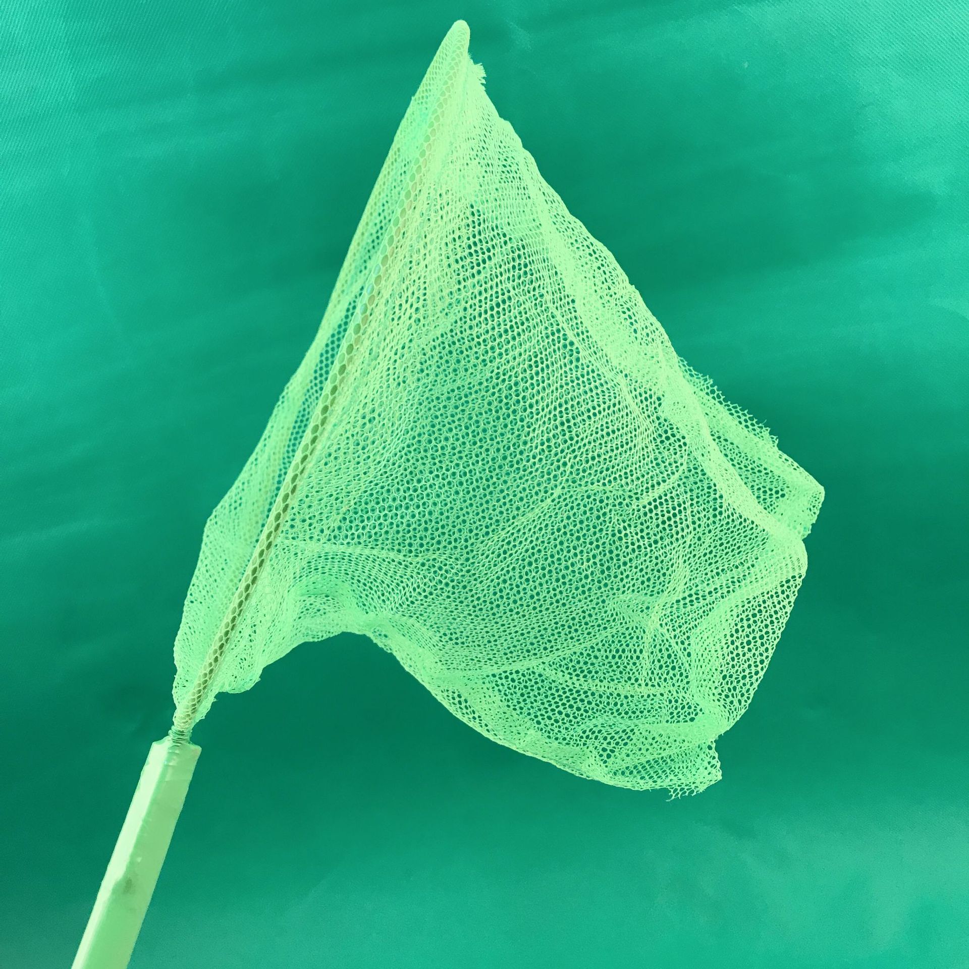 捞长杆捕蝴蝶2蜻蜓玩具扑户外网网网兜儿童鱼网昆虫元店手抄