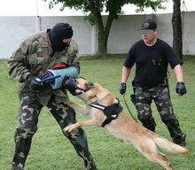 反恐治暴工作犬实战撞击口笼 训练防咬犬装备 软厚牛皮适合狗嘴