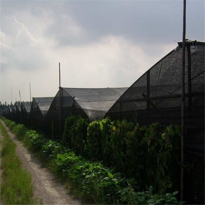 遮阳网 交织网 温室大棚配件农用网 厂家直销 质优价廉