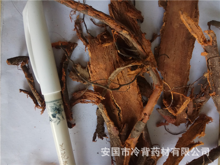 中药材李根白皮 甘李根白皮 李根皮1000g量大从优