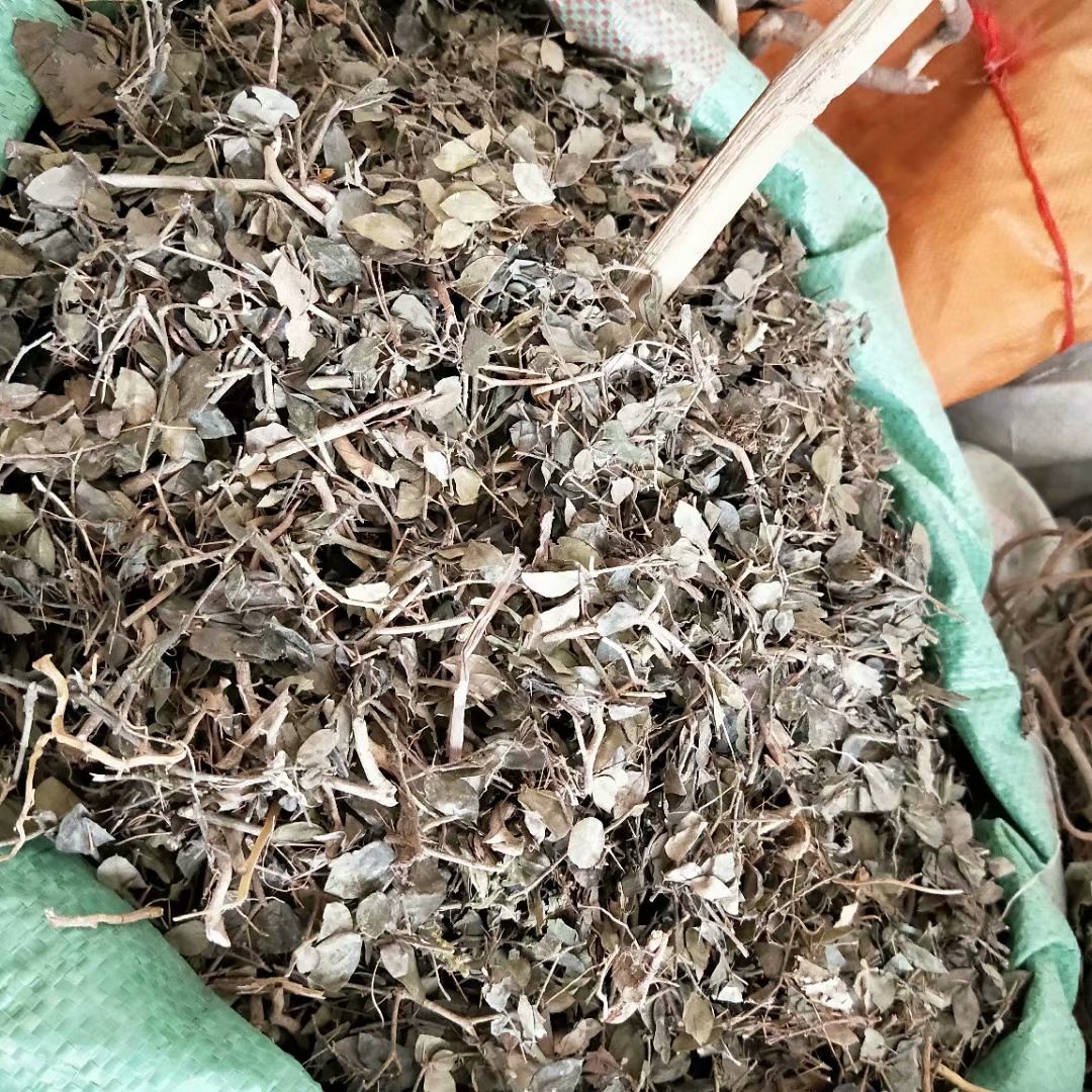 中药材绣花针 虎刺 伏牛花 寿星草每件500克