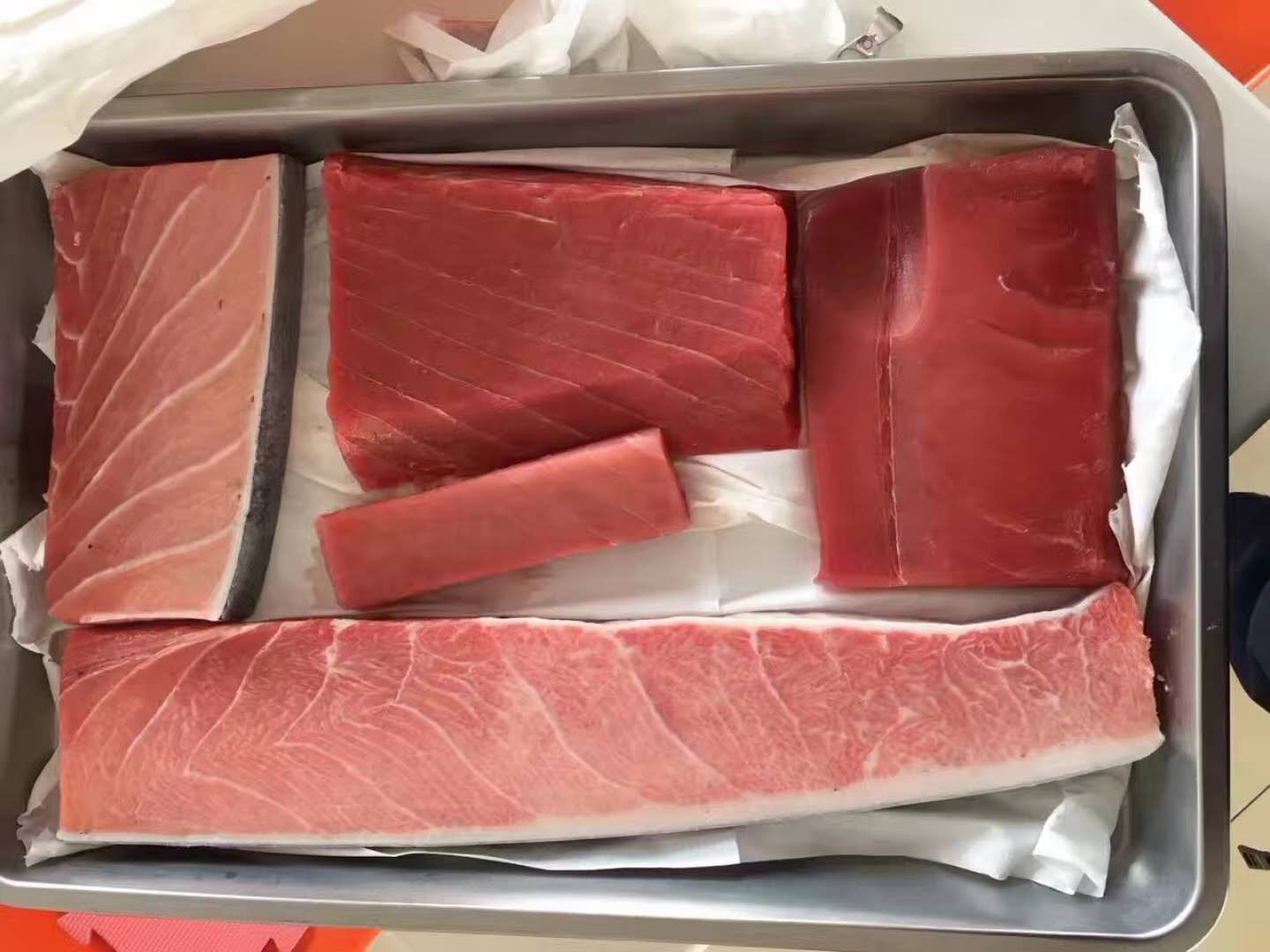 日本蓝鳍金枪鱼吞拿鱼腩大脂大toro刺身腩生鱼腩片中段散500元/斤