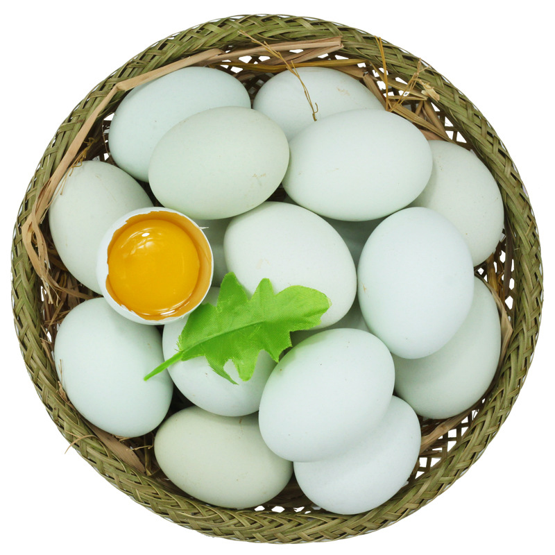 鹏昌绿壳土鸡蛋 山林散养新鲜草鸡蛋正宗笨鸡蛋绿壳鸡蛋 20枚