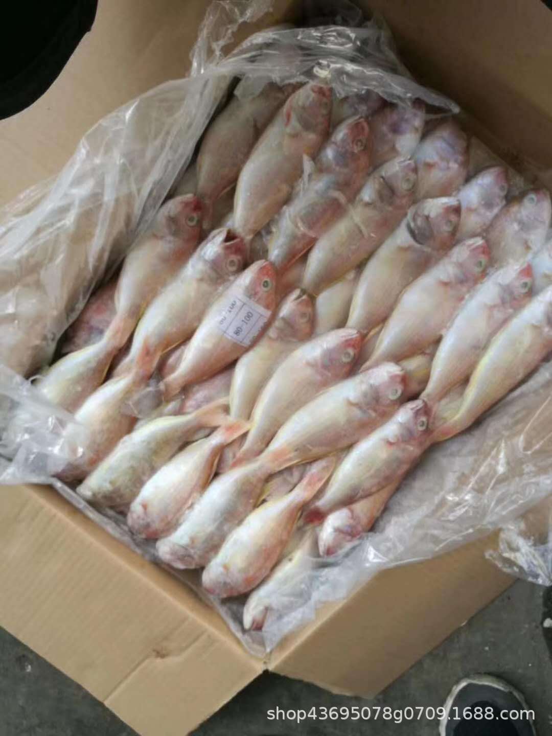 鲍鱼怎么做才好吃？今天就来分享几种家常做法，让你轻松在家也能享受到鲜美的鲍鱼。