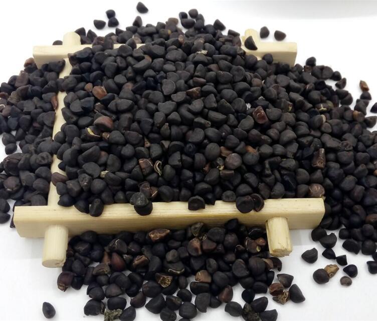 中药材批发黑丑 天然黑丑野生新货黑丑 无硫正品黑丑一公斤包邮