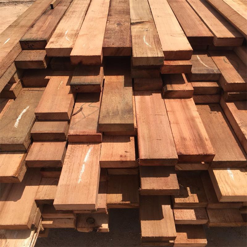 加拿大香柏木(红香柏木,红雪松,红梢木)