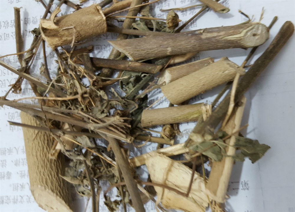 中药材小号虱母头 白背黄花稔 四米草 拔毒散梅肉草扫把麻