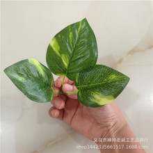 仿真植物仿真叶子 三叉过胶绿萝 植物墙把束花装饰布叶片配件批发