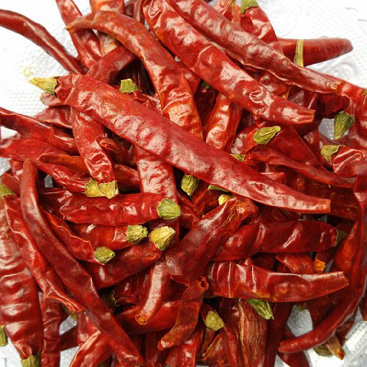 批发魔鬼椒 特辣干海椒 火锅中餐用的辣椒王 干辣椒 辣椒