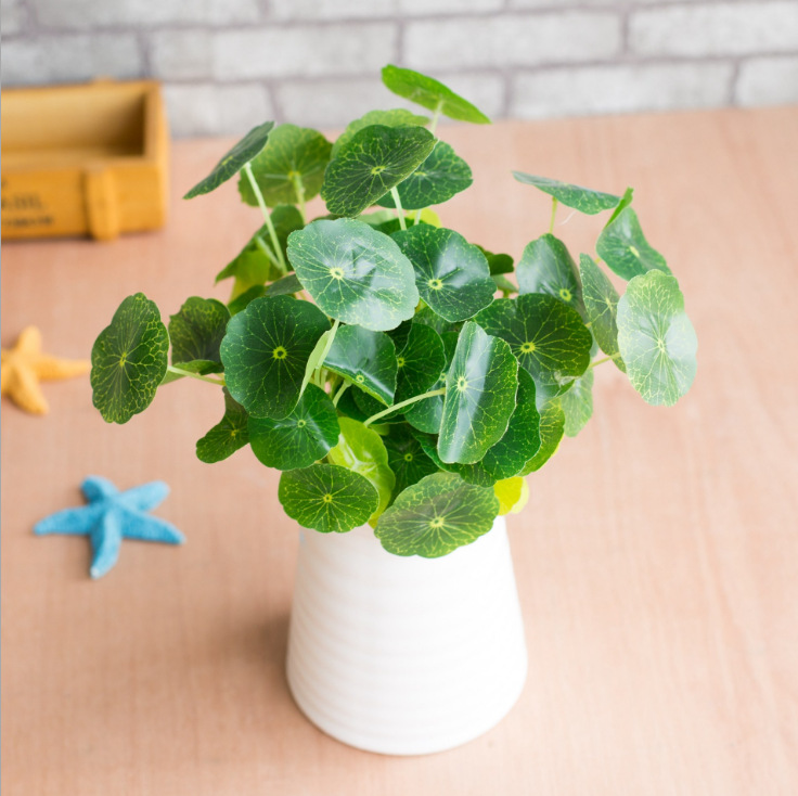 铜钱草/小荷叶也为我们博得一个好彩头,此款为高仿真度小型款式,适合