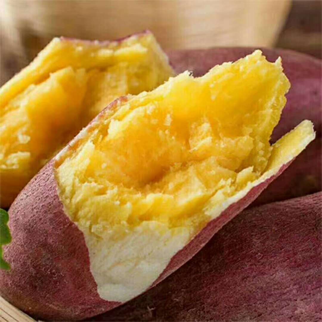 山东板栗薯板栗红薯番薯地瓜蜜薯新鲜黄心红薯9斤非六鳌蜜薯