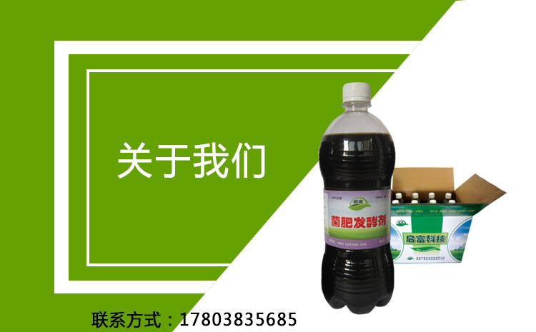 使用花生麸有机肥种植火龙果增产增收