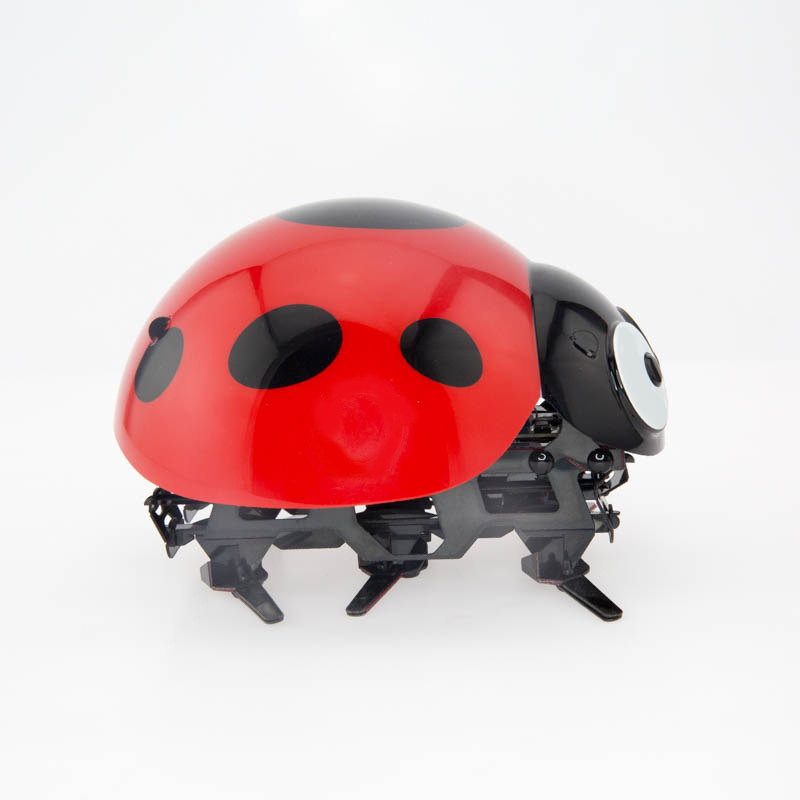 电动遥控瓢虫仿生甲虫昆虫逗逗虫感应瓢虫机器人智能新奇儿童玩具