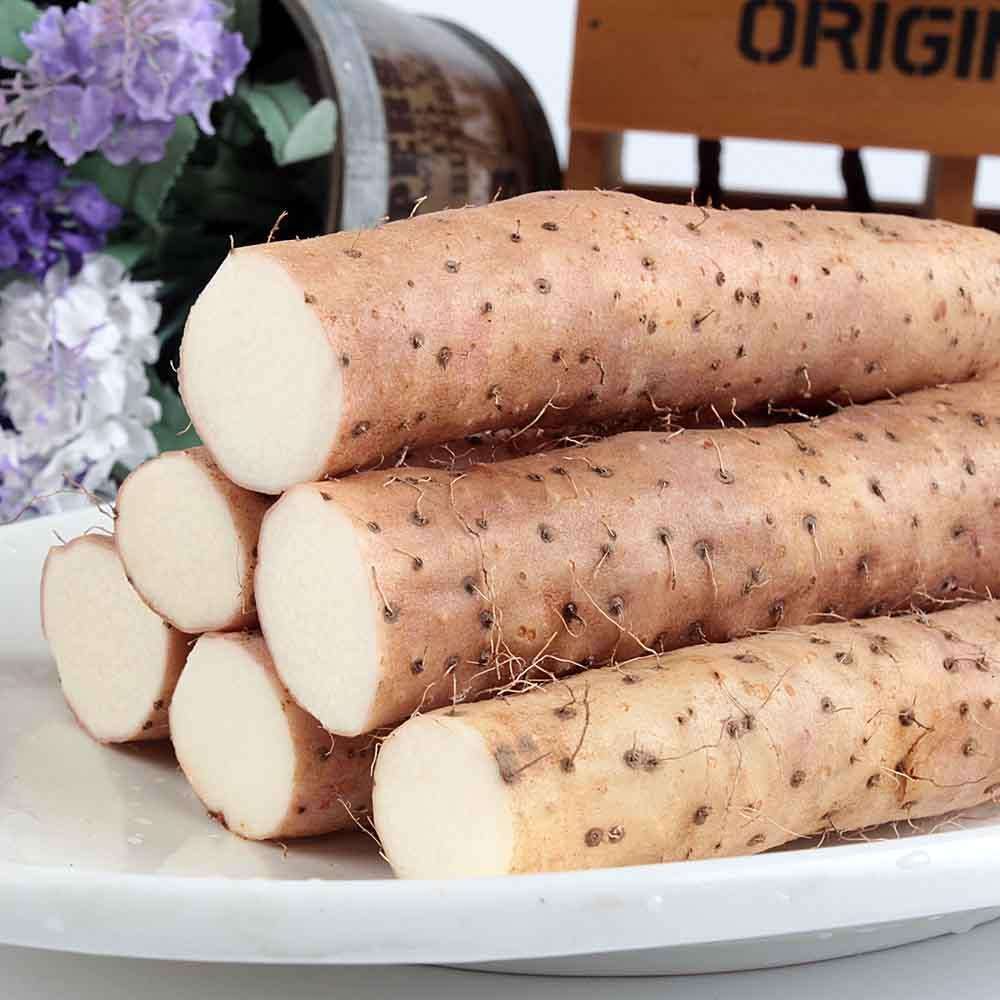 山药的功效与作用及禁忌 有哪些?