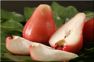 新鲜水果_泰国椰青 /12 南椰青椰 有开 椰子椰汁新鲜水果 - 阿里巴巴