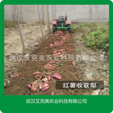 18-50匹拖拉机红薯地瓜收获犁薯类收获机农用红薯土豆收获机