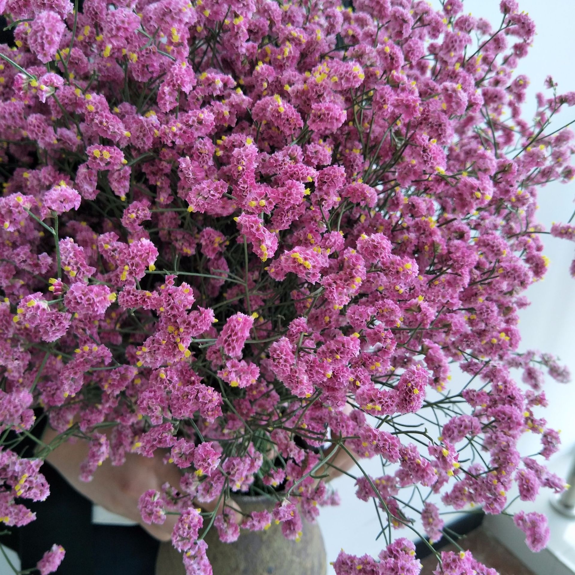 云南天然干花花束 家居插花 鲜花创意礼物水晶花水晶草产地直销