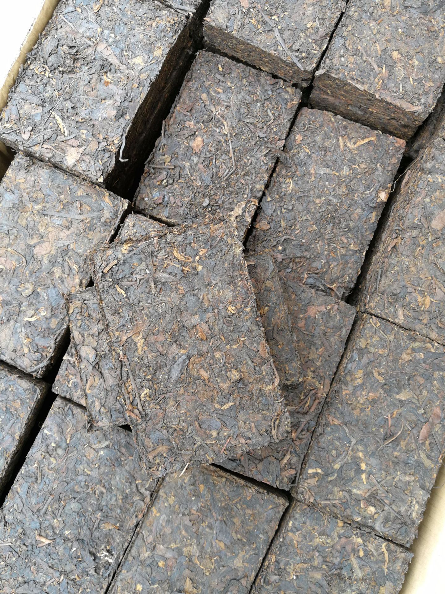 云南普洱茶砖裸光茶砖250克枣香陈香没有包装纸老茶陈茶陈年普洱