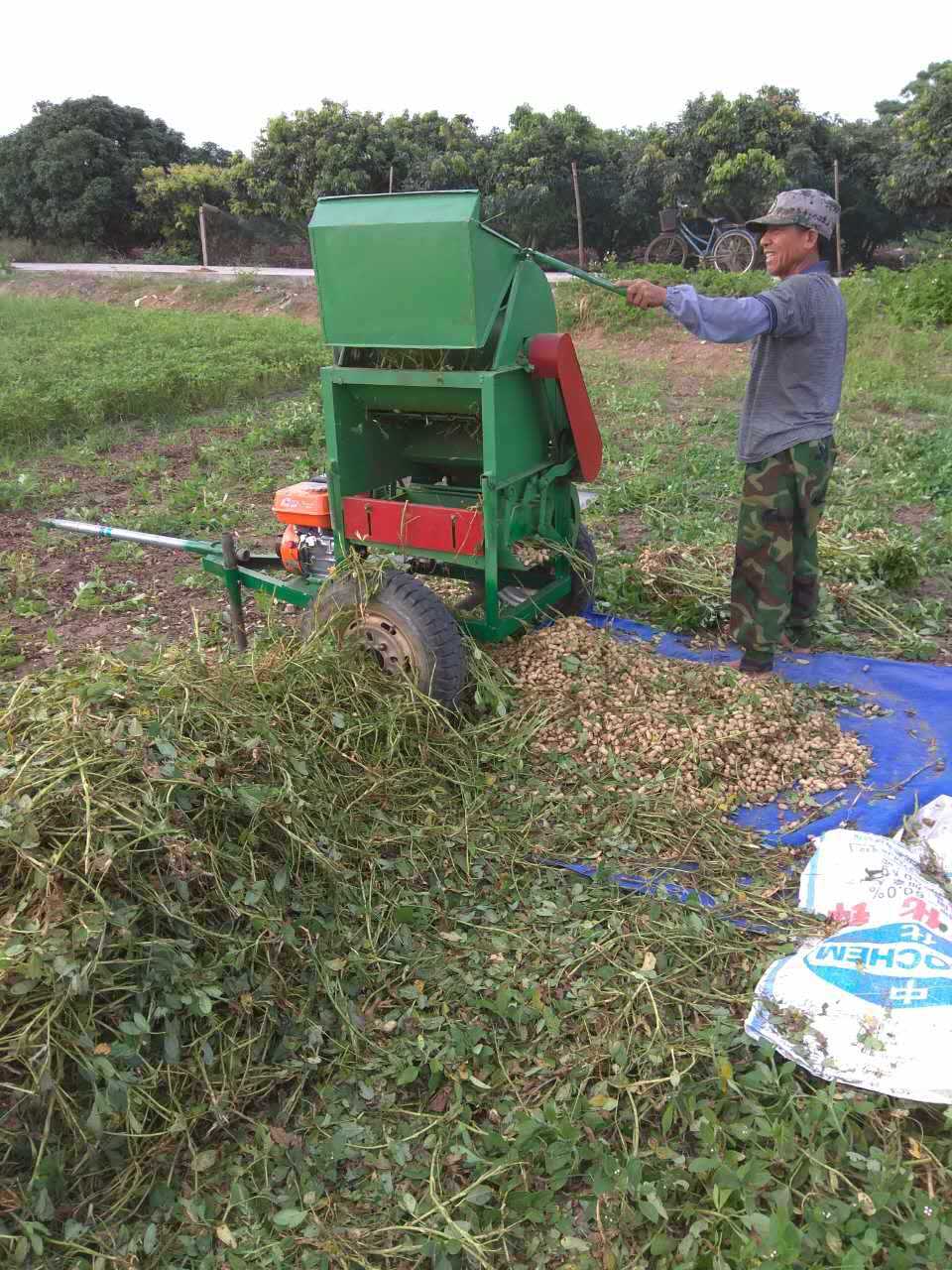 300型花生摘果机 果子脱秧机 脱果干净无残留 花生秧子分离机