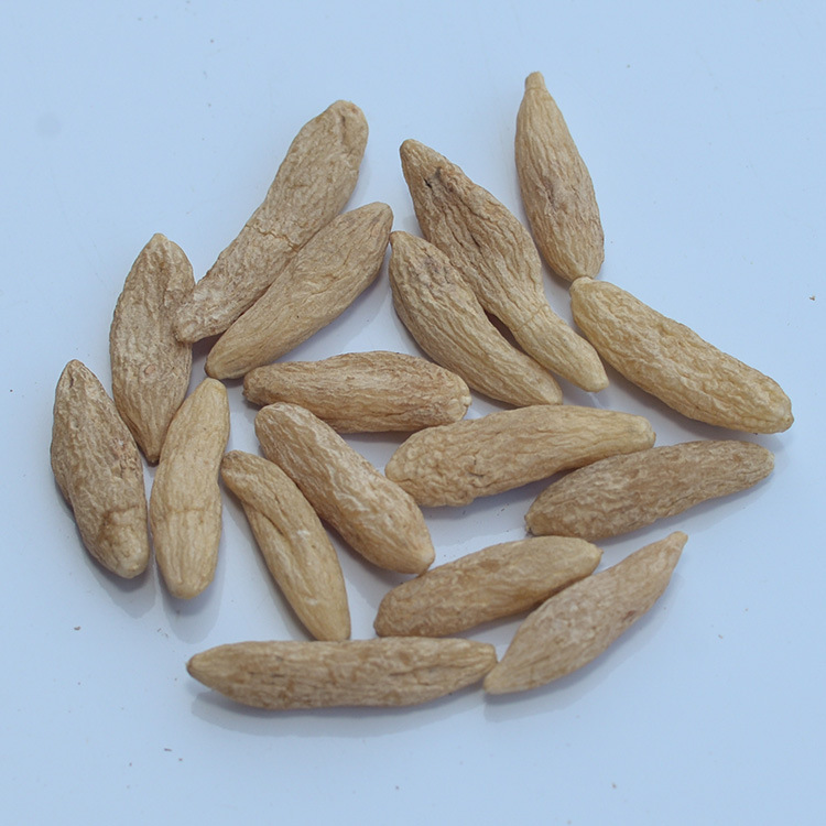 供应 中药材四川麦冬 质量保障无硫粒大饱满优质麦门冬散装批.