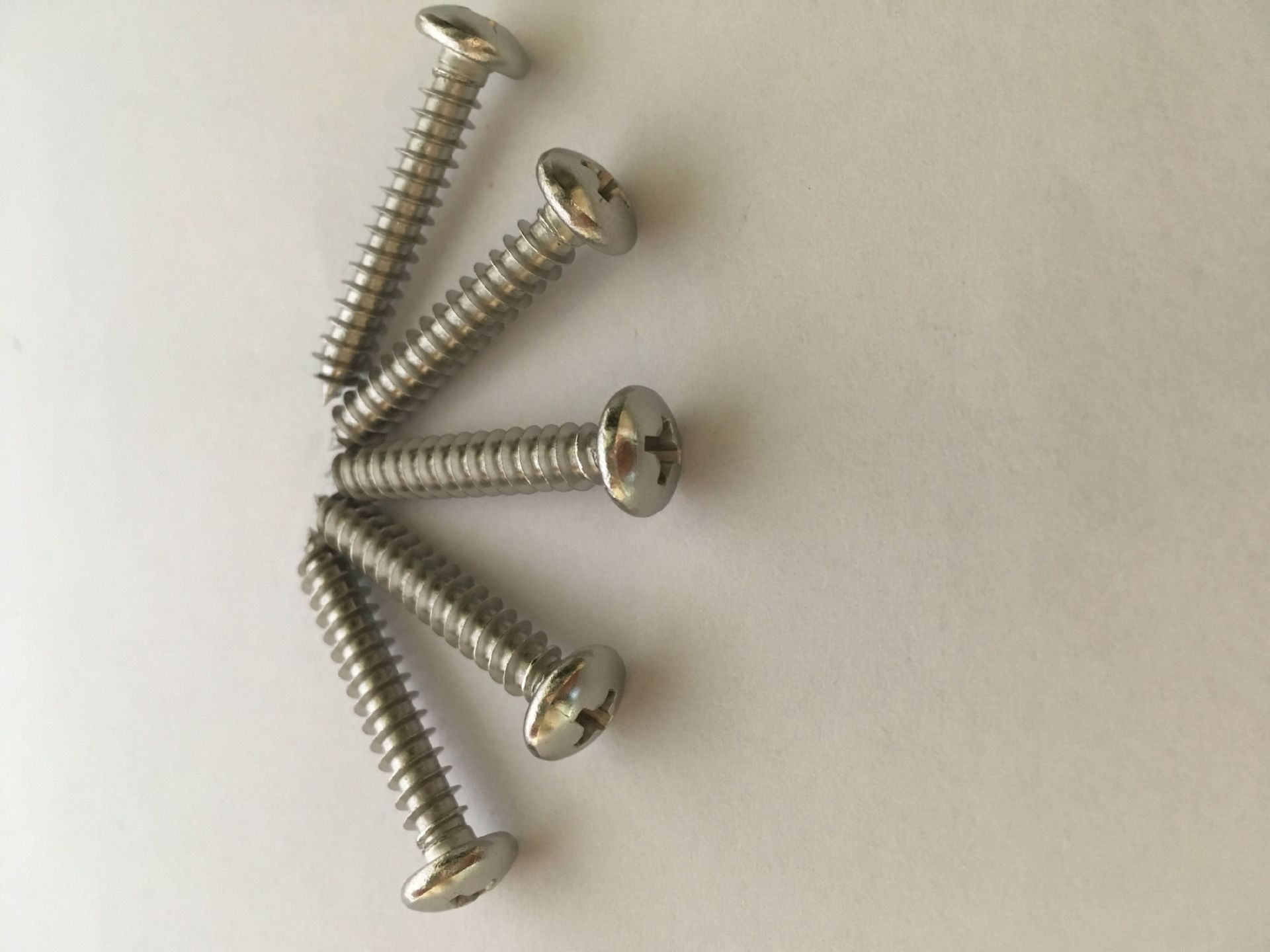 不锈钢304gb845圆头十字自攻螺丝m5盘头十字自攻螺钉 厂家直销