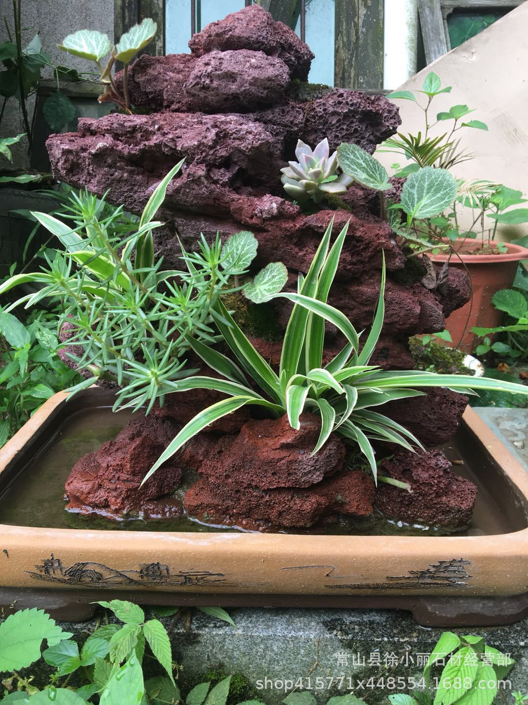 火山岩,衢州精品天然吸水石假山造型山石盆景室内空气加湿制氧