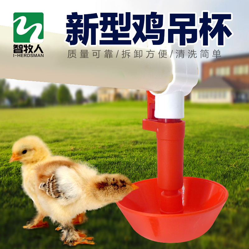小鸡自动饮水器
