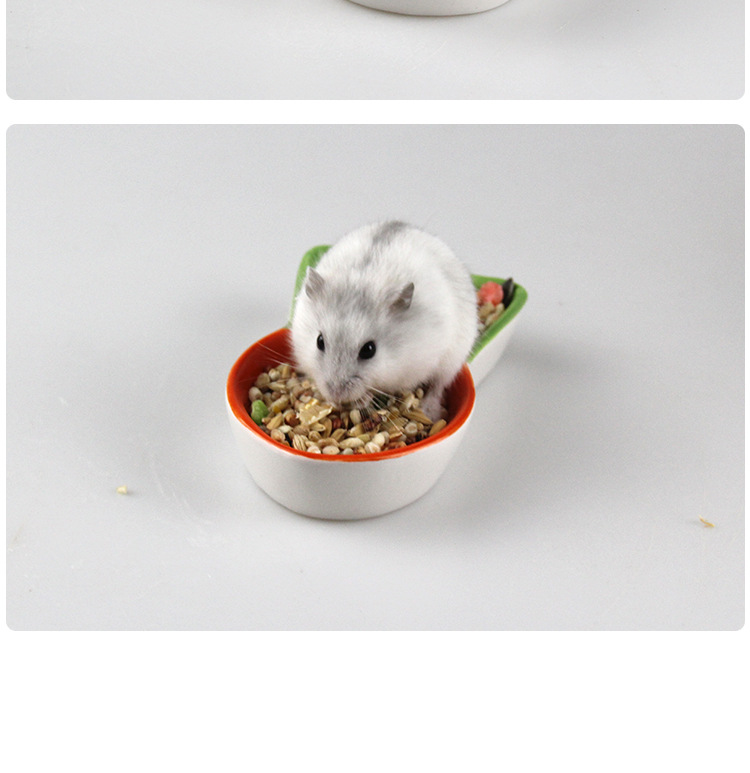 诺比诺宠物 仓鼠食盆 胡萝卜双格食盆 小仓鼠用品 小号食盆批发
