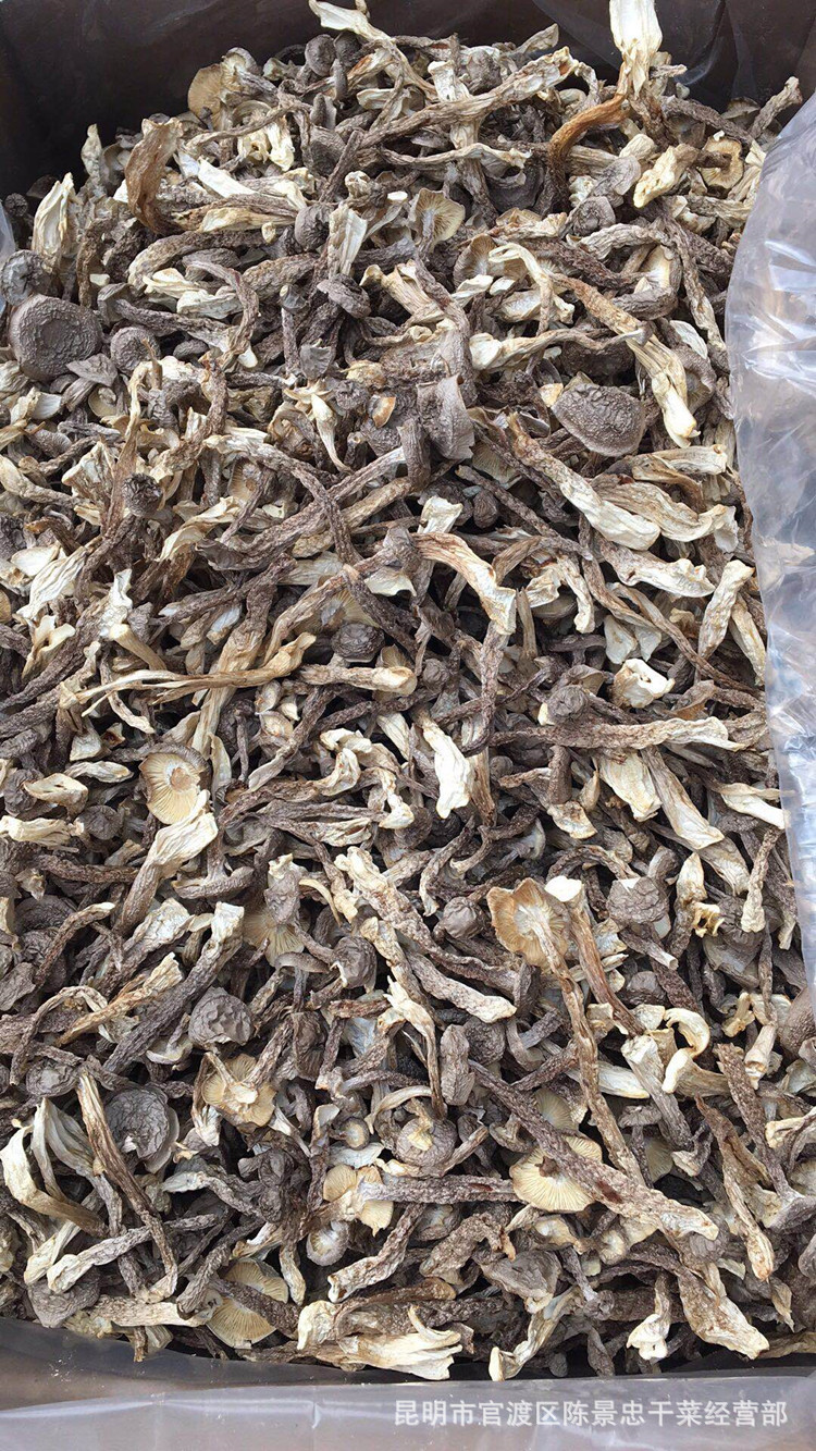 云南特产干品鹿茸菌菇 天然鹿茸菇食用菌批发 野生鹿茸菌量大从优